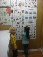 Discover the Difference Daycare Inc