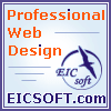 Professional Web Design in Toronto