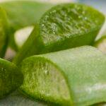 Aloe Vera Gel – The Miracle Juice